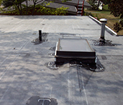 Flat Roof